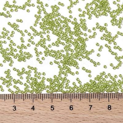 MIYUKI Round Rocailles Beads X-SEED-G009-RR0439-1
