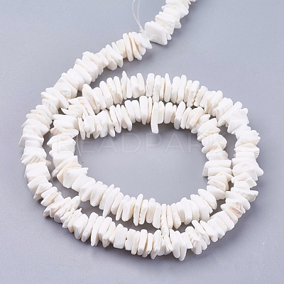 Natural Sea Shell Beads Strands BSHE-K012-08E-1