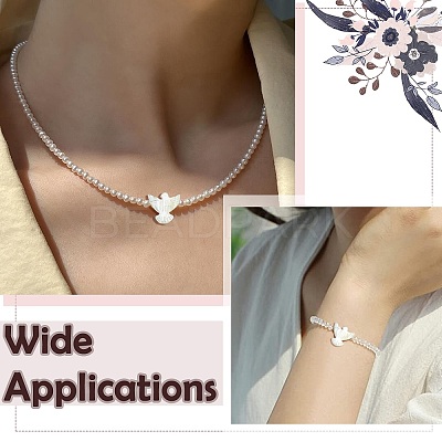 Natural Shell Beads BSHE-H017-02-1
