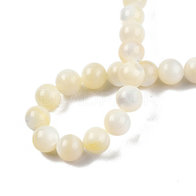 Natural White Shell Bead Strands SSHEL-N003-144H-01-1
