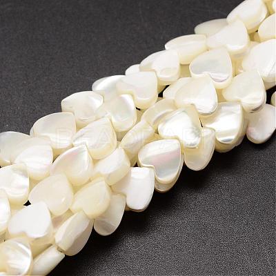 Natural Trochid Shell/Trochus Shell Beads Strands SSHEL-K012-04-1