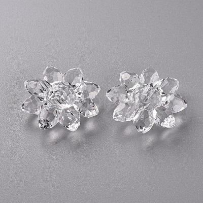 Transparent Acrylic Beads TACR-491-01-1