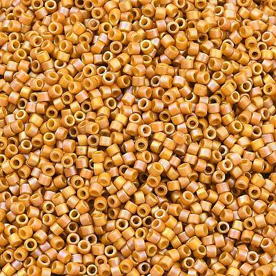 MIYUKI Delica Beads X-SEED-J020-DB2303-1