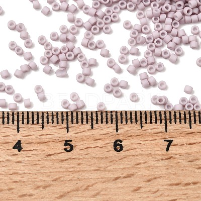 MIYUKI Delica Beads SEED-J020-DB0356-1