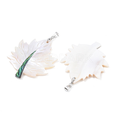 Natural Paua Shell & White Shell Pendants KK-C135-03P-1