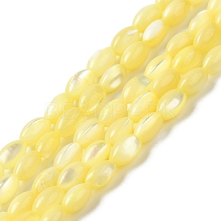 Natural Trochus Shell Beads Strands SHEL-K006-19C-1