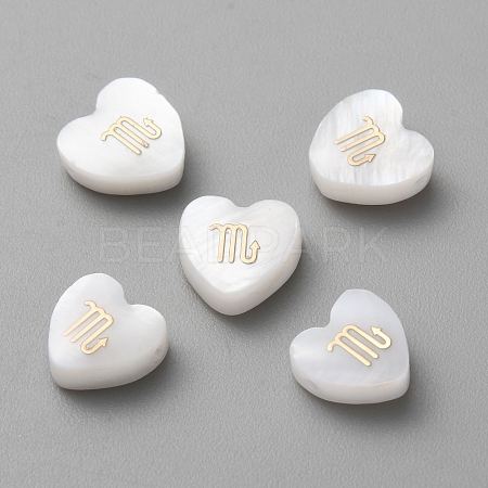 5Pcs Natural White Shell Beads LS-BSHE-TAC0004-02J-1