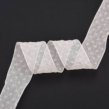 20 Yards Polyester Mesh Ribbon SRIB-P021-E05-1