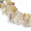 Natural Gold Rutilated Quartz Beads Strands G-P332-31-2