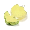 Translucent Resin Pendants LS-RESI-G078-01E-2