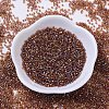 MIYUKI Delica Beads SEED-X0054-DB0170-2
