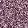 MIYUKI Delica Beads SEED-X0054-DB1434-3
