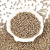 6/0 Glass Seed Beads SEED-A017-4mm-1113-1
