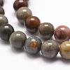 Natural New Ocean Jasper Bead Strands G-G954-01-10mm-3