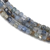 Natural Kyanite Beads Strands G-B088-E24-02-4
