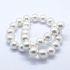 Shell Pearl Beads Strands BSHE-K053-02-14mm-2