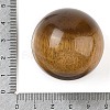 Natural Tiger Eye Sphere Beads G-I367-07R-2