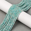 Faceted Rondelle Natural Amazonite Bead Strands G-F289-06A-2