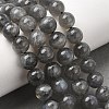Natural Labradorite Beads Strands G-J120-28-8mm-A-1