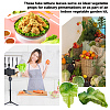 PVC Lettuce Leaf Display Decorations DJEW-WH0042-134-5
