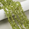 Natural Peridot Beads Strands G-P332-48-01-5