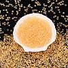 6/0 Inside Colours Transparent Glass Seed Beads SEED-T007-07F-1