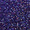 MIYUKI Delica Beads SEED-JP0008-DB1755-3