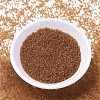 MIYUKI Delica Beads Small SEED-X0054-DBS1101-2