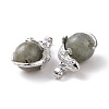 Natural Labradorite Pendants G-G884-D23-FF-3