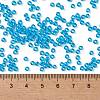 TOHO 8/0 Round Beads X-SEED-TR08-0104B-4