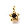 304 Stainless Steel Charms STAS-R159-58G-04-1