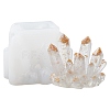 DIY Crystal Cluster Display Decoration Silicone Molds DIY-YWC0003-02A-1