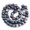 Electroplate Natural Fire Crackle Agate Beads Strands G-T131-54A-2