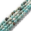 Natural Magnesite Beads Strands G-L555-02B-02-1