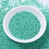 MIYUKI Delica Beads SEED-J020-DB0627-2