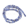 Handmade Lampwork Beads Strands LAMP-Q037-01B-07-2
