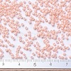MIYUKI Delica Beads SEED-J020-DB0206-4