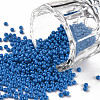 12/0 FGB Grade A Round Glass Seed Beads SEED-N001-A-1014-1