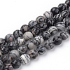 Natural Black Silk Stone/Netstone Beads Strands G-Q462-103-10mm-1