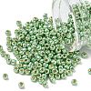 TOHO 6/0 Round Beads X-SEED-TR06-PF0560-1