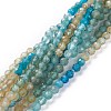 Natural Apatite Beads Strands G-A026-A11-3mm-1