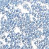 Luminous Glass Seed Beads SEED-A033-07G-4