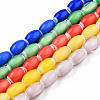 Handmade Lampwork Beads Strands LAMP-N023-004-1