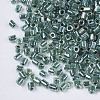 8/0 Two Cut Glass Seed Beads SEED-S033-10A-03-2