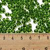 Glass Seed Beads SEED-K009-11B-02-4