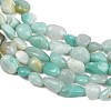 Natural Amazonite Nuggets Beads Strands G-J335-31B-4