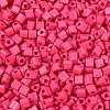 FGB Baking Paint Glass Seed Beads SEED-Q040-09A-04-3