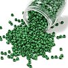 TOHO 6/0 Round Beads SEED-XTR06-0047D-1