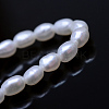 Natural Cultured Freshwater Pearl Beads Strands X-PEAR-R016-05-1