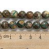 Tibetan Style dZi Beads Strands G-P526-D09-02-5